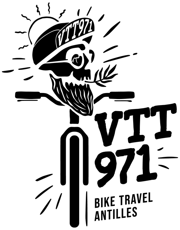 VTT971