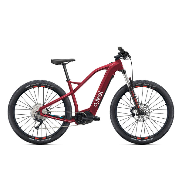 VTT Électrique Karma